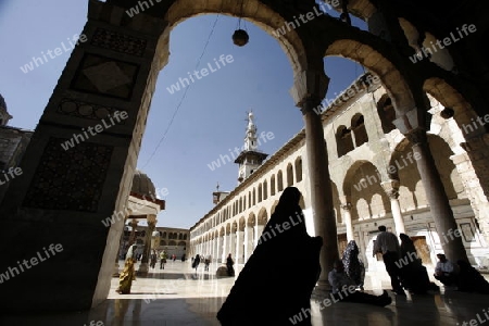 Asien, Naher Osten, Syrien, Damaskus,   Der Innenhof der  Omaijad Moschee im Souq und Altstadt von Damaskus in der Hauptstadt von Syrien. 