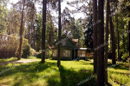 EUROPA, OSTEUROPA, BALTIKUM, LETTLAND, OSTSEE, JURMALA, HOLZHAUS, WALD, 