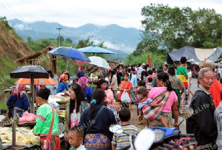 Der Wochenmarkt beim Dof Chiang Dao noerdlich von Chiang Mai im Norden von Thailand.