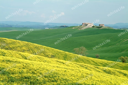 Toscana