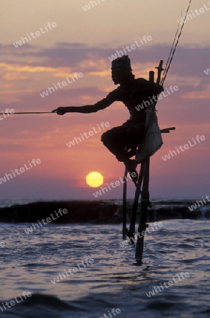 Asien, Indischer Ozean, Sri Lanka,
Traditionelle Fischer sogenannte Stelzenfischer beim Fischen in der naehe des Kuestendorf Ahangama an der Suedkueste von Sri Lanka. (URS FLUEELER)






