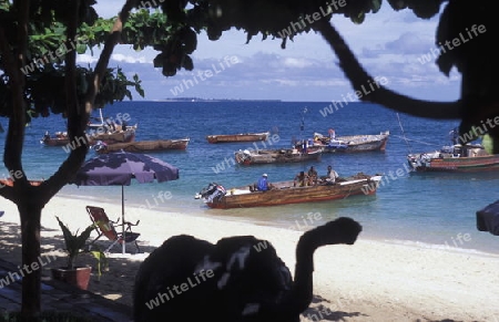 Der Fischerhafen in der Altstadt Stone Town  der Hauptstadt Zanzibar Town auf der Insel Zanzibar welche zu Tansania gehoert.      