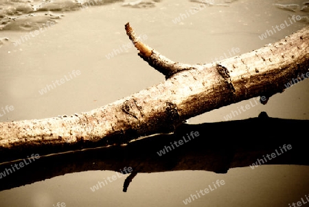 A branch reflected in water - Ein Ast spiegelt sich im Wasser