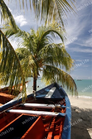 Suedamerika, Karibik, Venezuela, Isla Margarita, Pedro Gonzalez, Playa Pedro Gonzalez, Beach, Strand, Bucht, Fischerdorf, Fischerboot, Holzboot, Palmen, Ferien, Traumstrand, Idylle, Landschaft