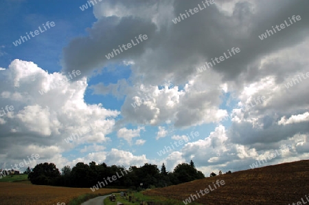 Traumwolken ?. Weg