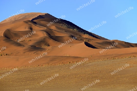 riesige Sandd?nen im ersten Morgenlicht,  Namib Naukluft Nationalpark, Sossusvlei, Namibia, Afrika