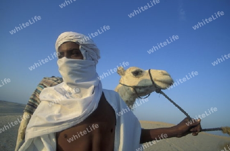 Beduine mit Kamel in der Wueste von Douz im Sueden von Tunesien in Nordafrika.