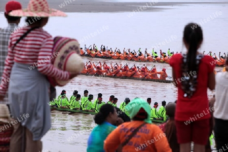 Ruderinnen beim traditionellen Bootsrennen auf dem Mekong River in Vientiane der Hauptstadt von Laos in Suedostasien.  