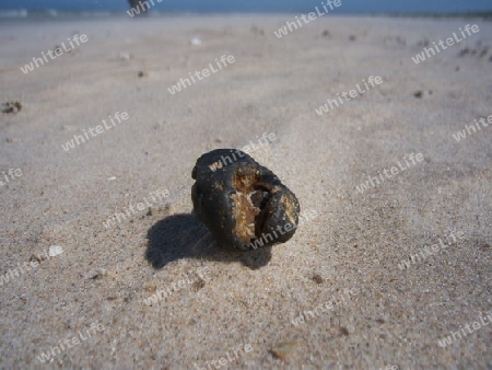 Stein am Starnd zwischen Hirtshals und Skagen