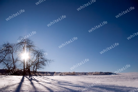 Winterstimmung