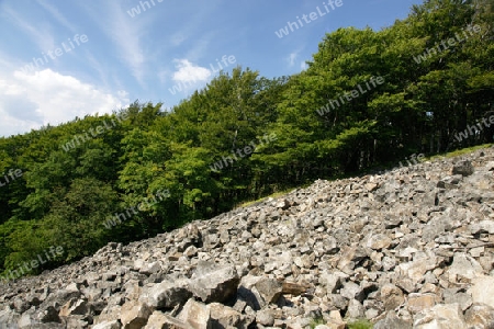 Blockschutthalde am Stallberg, Rh?n, Hessen, Deutschland