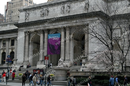 Public Library New York City