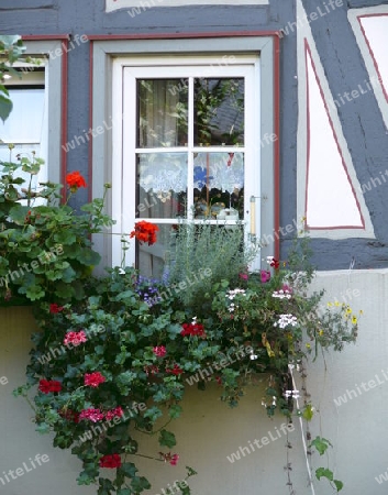 Fenster in der Altstadt von Alsfeld