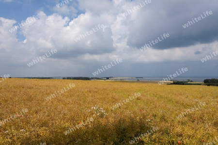 Am Salzhaff, Mecklenburg-Vorpommern