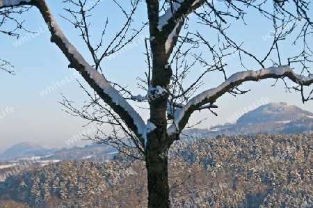 winterliche Szene mit Baum und Parkbank