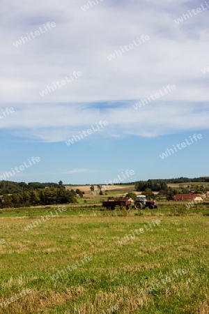 Landwirtschaft