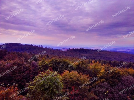 Blick vom Donnersberg 3b