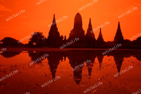 The Wat Chai Wattanaram Temple in City of Ayutthaya in the north of Bangkok in Thailand, Southeastasia.