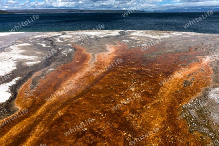 Yellowstone National Park