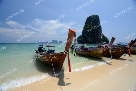 The Hat Phra Nang Beach at Railay near Ao Nang outside of the City of Krabi on the Andaman Sea in the south of Thailand. 