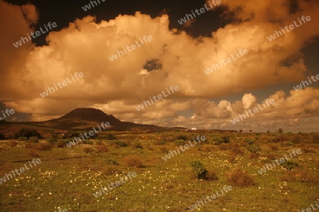 the landscape on the Island of Lanzarote on the Canary Islands of Spain in the Atlantic Ocean. on the Island of Lanzarote on the Canary Islands of Spain in the Atlantic Ocean.
