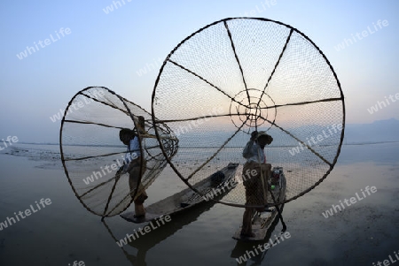 Fishermen at sunrise in the Landscape on the Inle Lake in the Shan State in the east of Myanmar in Southeastasia.