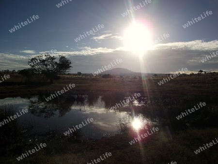 Wasserstelle, Landschaft, See, Teich, T?mpel, Savanne, in, Tsavo, West, Kenya, Kenia, kurz, nach, dem, Sonnenaufgang, Sonne, Afrika