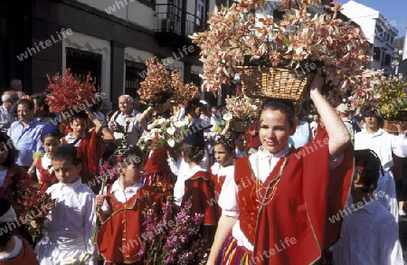 Das Traditionelle Blumenfest in der Hauptstadt Funchal auf der Insel Madeira im Atlantischen Ozean, Portugal.