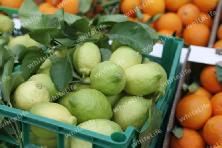 Orange and Lemon at a Market in the  mountain Village of  Tejeda in the centre of the Canary Island of Spain in the Atlantic ocean.