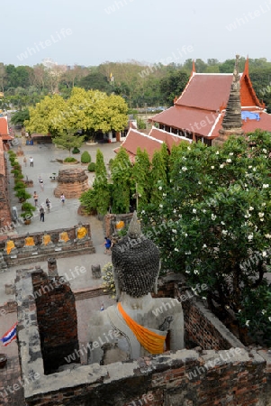 The Wat Yai Chai Mongkol Temple in City of Ayutthaya in the north of Bangkok in Thailand, Southeastasia.