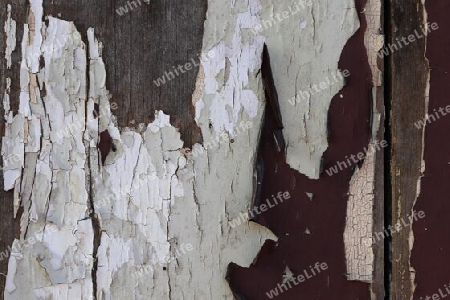 Detailed close up view on different wood surfaces showing planks logs and wooden walls in high resolution