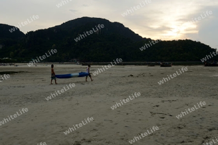 A Beach in the Town of Ko PhiPhi on Ko Phi Phi Island outside of  the City of Krabi on the Andaman Sea in the south of Thailand. 