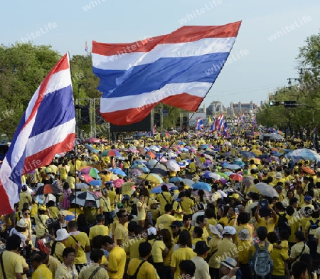 Tausende von Thailaender zelebrieren den Kroenungstag des Koenig Bhumibol auf dem Sanam Luang Park vor dem Wat Phra Kaew in der Stadt Bangkok in Thailand in Suedostasien.  