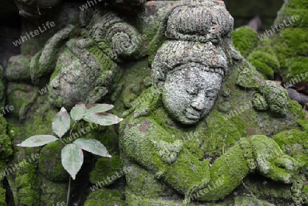 Traditionelle Figuren stehen im Garten von Ban Phor Linag Meuns Terracota Art zum Verkauf bereit dies im Terracota Garden in Chiang Mai im norden von Thailand in Suedostasien.