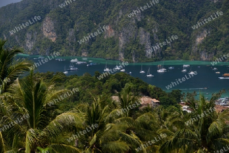 The view from the Viewpoint on the Town of Ko PhiPhi on Ko Phi Phi Island outside of the City of Krabi on the Andaman Sea in the south of Thailand. 