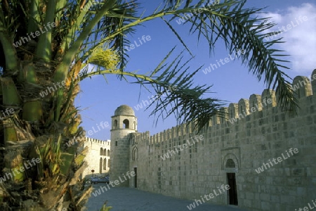 Die Grosse Moschee mit der Mauer in der Altstadt oder Medina von Sousse am Mittelmeer  in Tunesien in Nordafrika.    