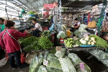 Menschen auf dem Grossen Lebensmittelmarkt von Talat Warorot in Chiang Mai im Norden von Thailand. 