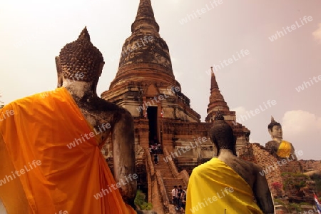 Der Wat Yai Chai Tempel in der Tempelstadt Ayutthaya noerdlich von Bangkok in Thailand.  