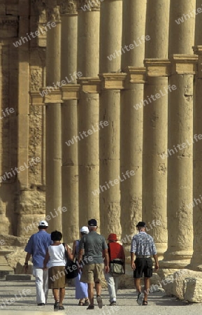 Die Ruinen von Palmyra in der Wueste Faydat in Syrien im Mittleren Osten in Arabien.