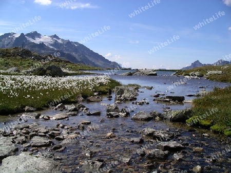 Sustenpass