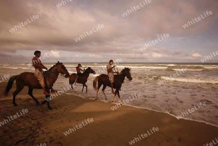 Suedamerika, Karibik, Venezuela, Isla Margarita, Ostkueste, Cuacuco, Playa Cuacuco, Strand, Beach, Meer, Pferd, Reiten, Landschaft  