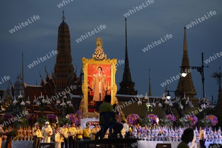 Tausende von Thailaender zelebrieren den Kroenungstag des Koenig Bhumibol auf dem Sanam Luang Park vor dem Wat Phra Kaew in der Stadt Bangkok in Thailand in Suedostasien.  