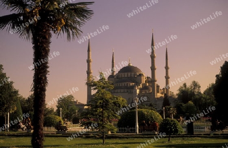 Die Blaue Moschee im Stadtteil Sulranahmet in Istanbul in der Tuerkey.