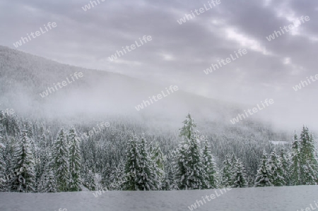 Winter in den Nockbergen