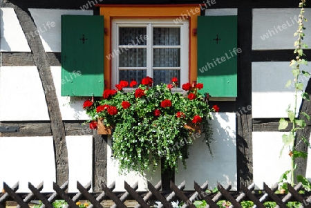 Blumenschmuck am Fachwerkhaus