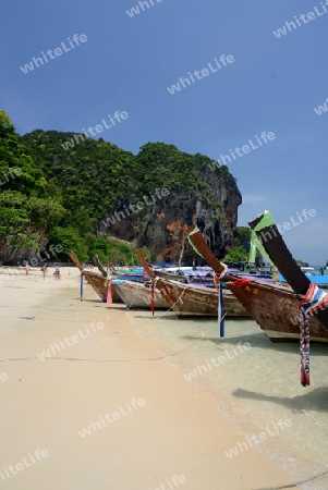 The Hat Phra Nang Beach at Railay near Ao Nang outside of the City of Krabi on the Andaman Sea in the south of Thailand. 