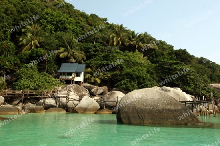 Die Strand und Insellandschaft auf der Insel Koh Naang Yuan neben der Insel Ko Tao im Golf von Thailand im Suedwesten von Thailand in Suedostasien.  