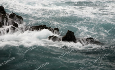 The coast in the village of  Puerto de la Cruz on the Island of Tenerife on the Islands of Canary Islands of Spain in the Atlantic.  