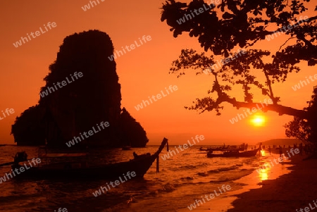 The Hat Phra Nang Beach at Railay near Ao Nang outside of the City of Krabi on the Andaman Sea in the south of Thailand. 