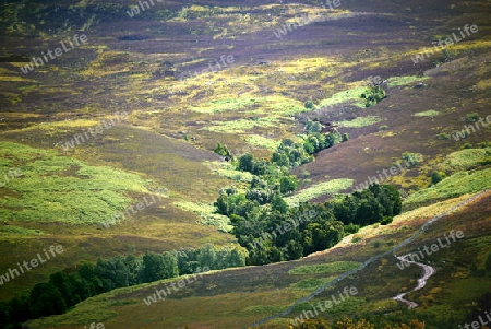 Glen Lyon